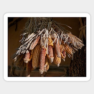 Drying Corn, Suwon, South Korea. Sticker